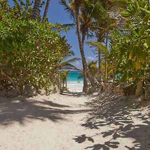 Dos Ceibas Tulum - Massage & Yoga Inclusive
